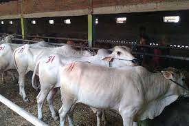 Didorong Pusat Bantu...