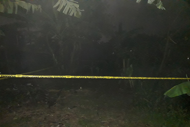 Lokasi Gelap, Bangkai...