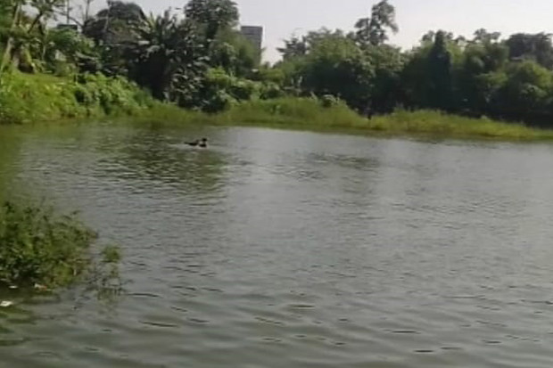KNKT Belum Pastikan...