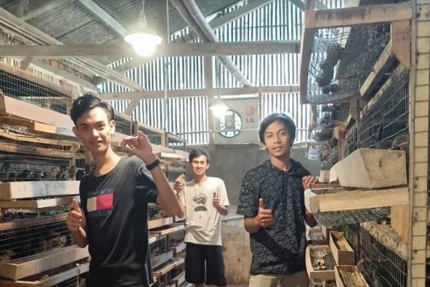 Update Petani Milenial,...