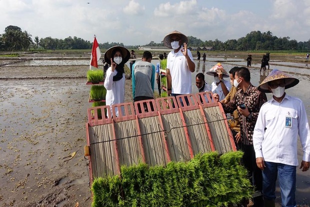 Lewat Program Agro Solution...