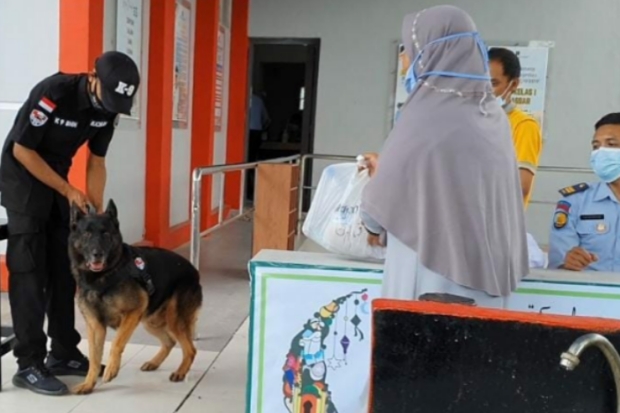 Tembak-tembakan Warnai...