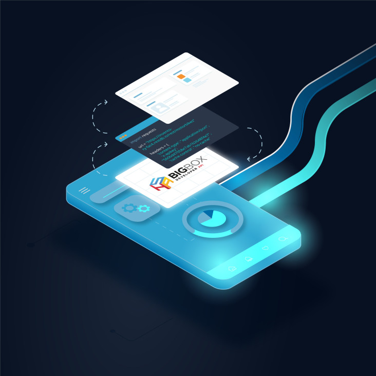 BigBox Developer API...