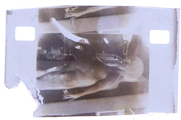 Video Rontgen Alien...