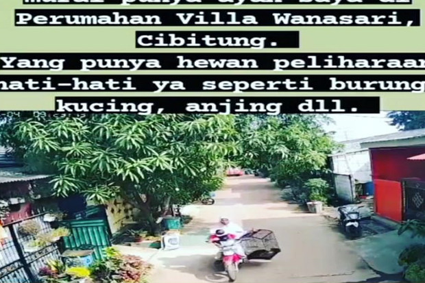 Nekat! Sambil Gendong...