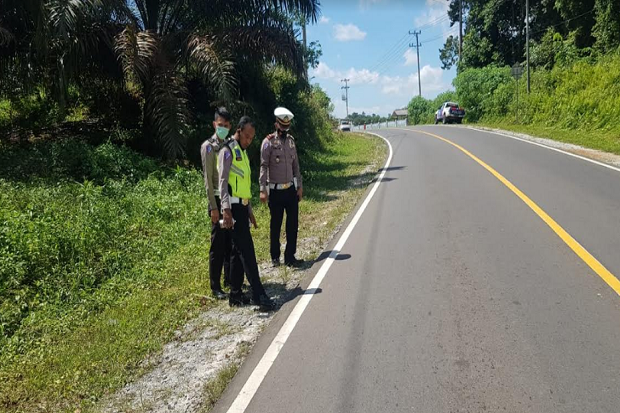 Adu Kambing Motor dan...