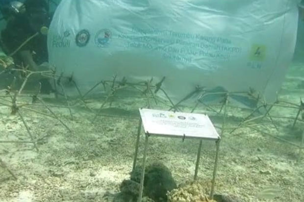 PLN Lakukan Transplantasi...