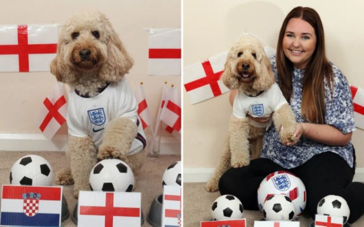Piala Eropa 2020: Anjing...