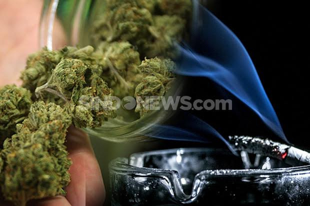 Fakta-Fakta Ganja, Jenis...
