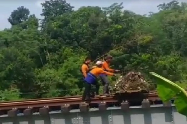 Viral Petugas Rel Kereta...