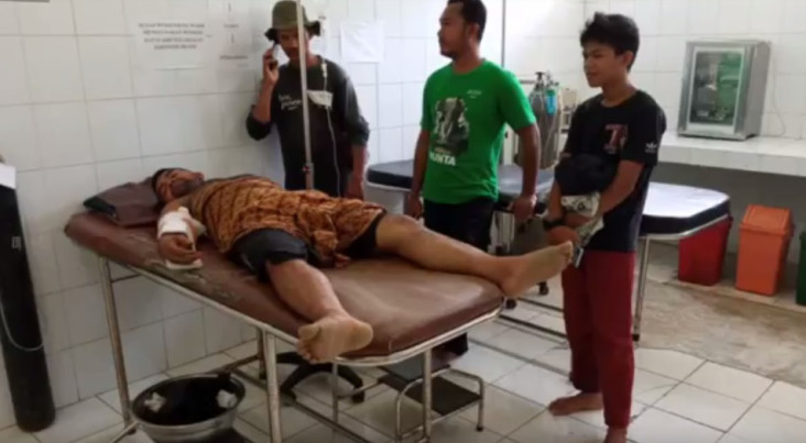 Gajah Jantan Liar Mengamuk,...
