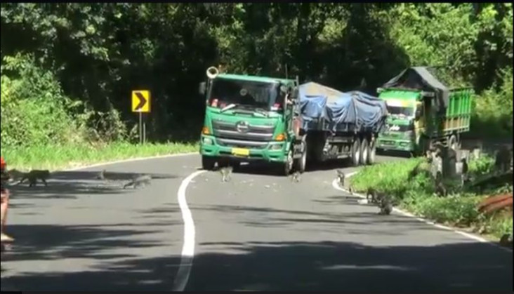 Ini 5 Jalur Angker Rawan...