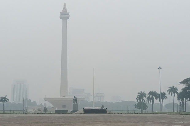 Momen Langka, Kawasan...