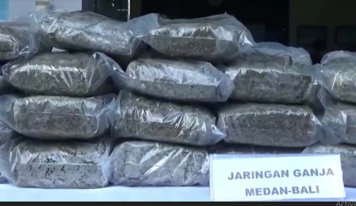 Penampakan Ganja 50...