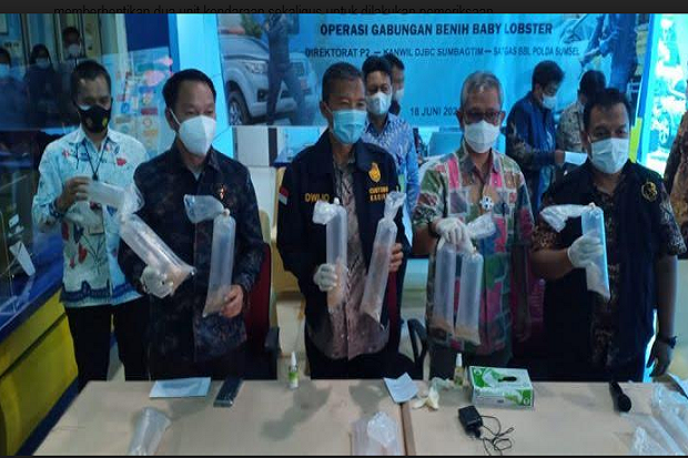 Penyelundupan Benih...
