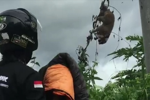 5 Jam Terjebak di Kabel...