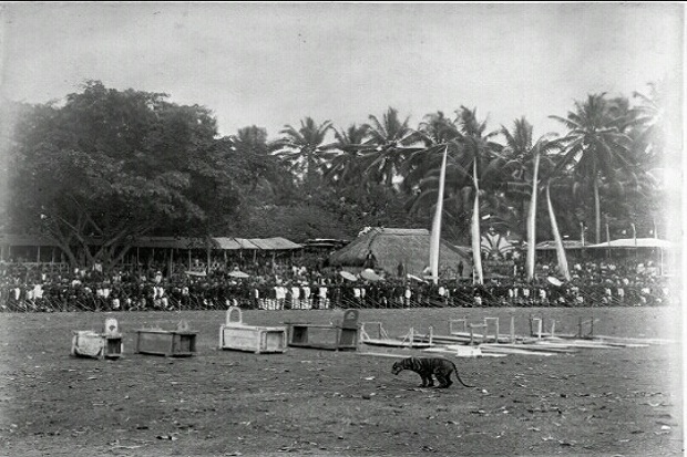 Rampogan Macan-Sima...