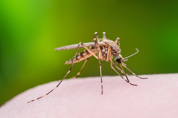 New Jersey Deteksi Virus...