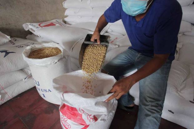 Harga Kedelai Melandai,...