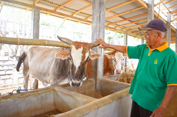 Qurban Saat PPKM Darurat,...