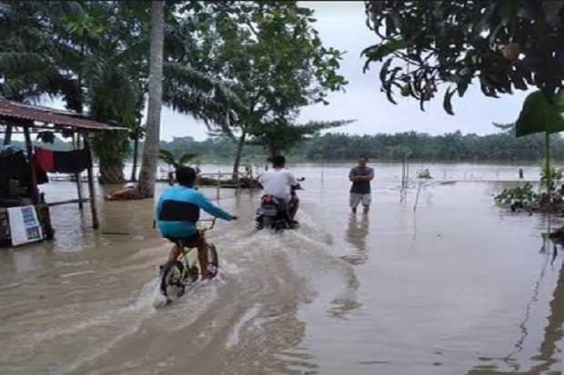 Sungai Meluap, Puluhan...