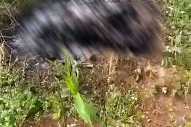 Kenali Mayat Terbakar...