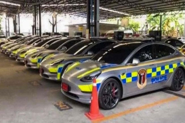 Tikus Paling Suka Membantai...