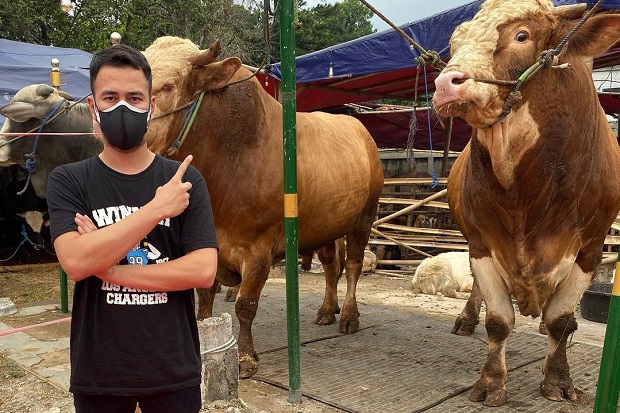 Raffi Ahmad Kurban 10...