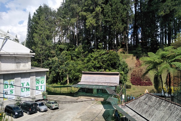 Pandemi COVID-19 Bikin...