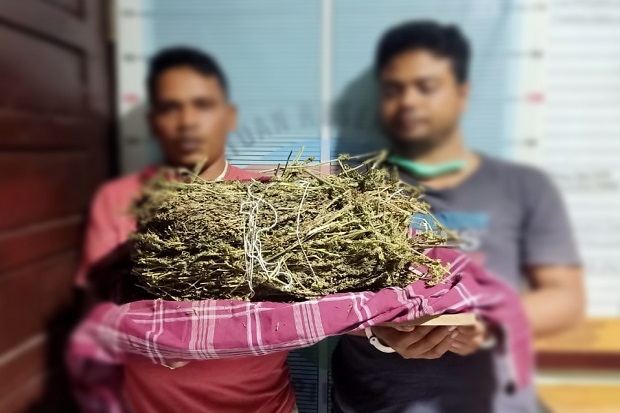 Bawa 2 Kg Ganja Kering...