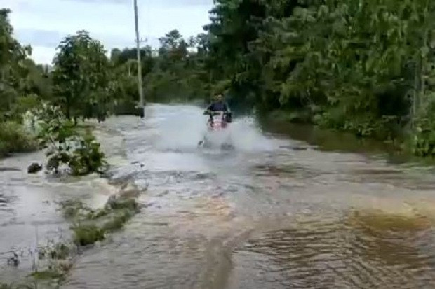 Jalan Nasional Trans...