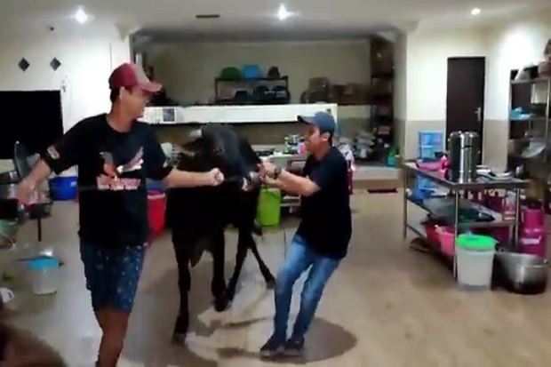 Masuk Garasi dan Dapur,...