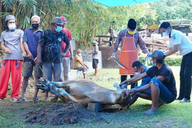 Wali Kota Parepare Taufan...
