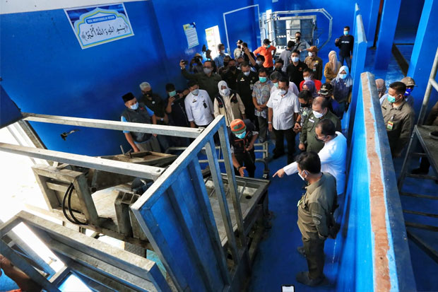 237 Sapi Kurban Disembelih...