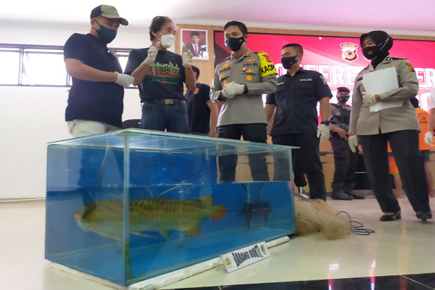 Polisi Tangkap Pencuri...