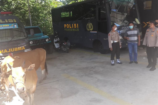 Polres Wajo Tangkap...