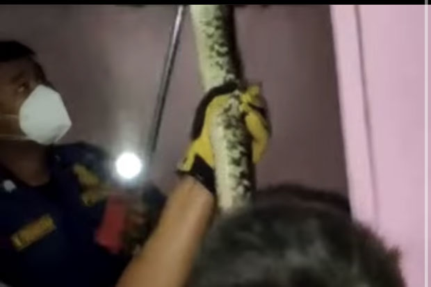 Petugas Damkar Taklukan...