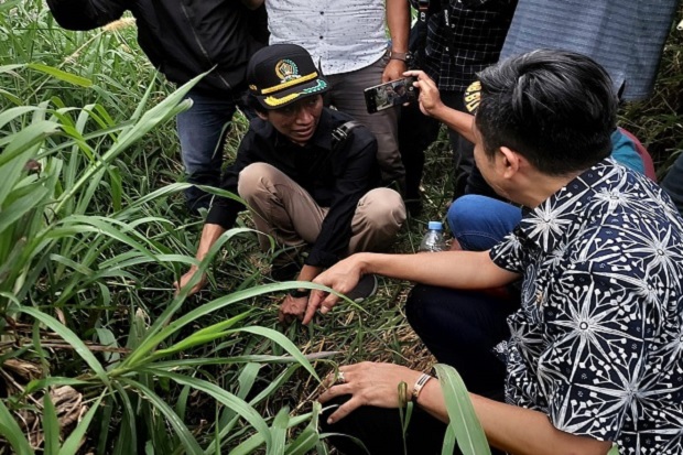 Terungkap, PT Greenfields...