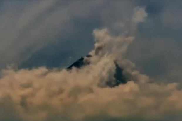 Wedus Gembel Merapi...