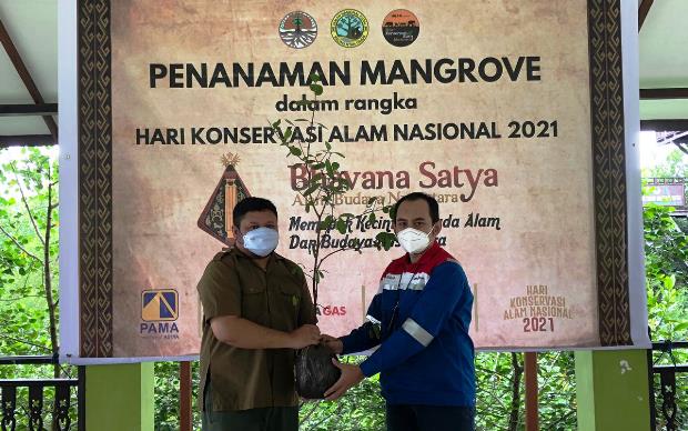 Pertamina Gas Kalimantan...