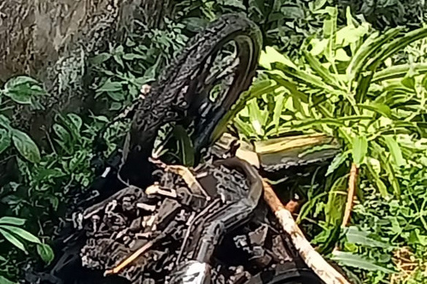 Puntung Rokok Bakar...