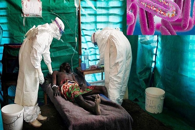 Mengenal Virus Marburg,...