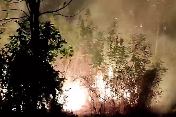 Kebakaran Hutan Landa...
