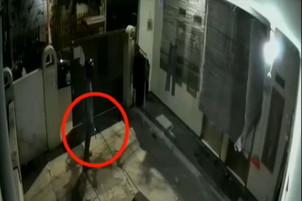 Tenteng Pistol, Video...