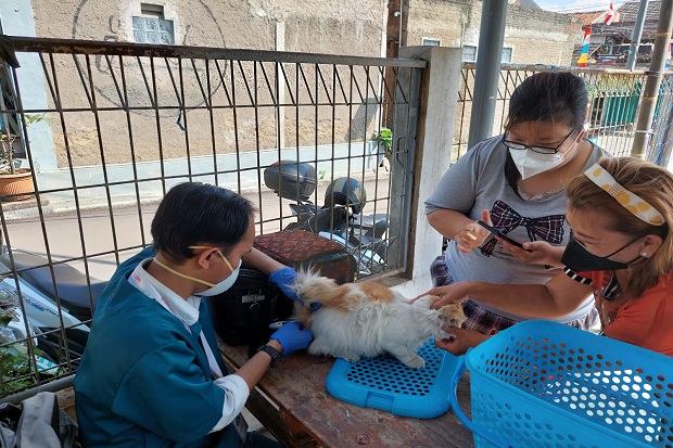 Cegah Penularan Rabies...