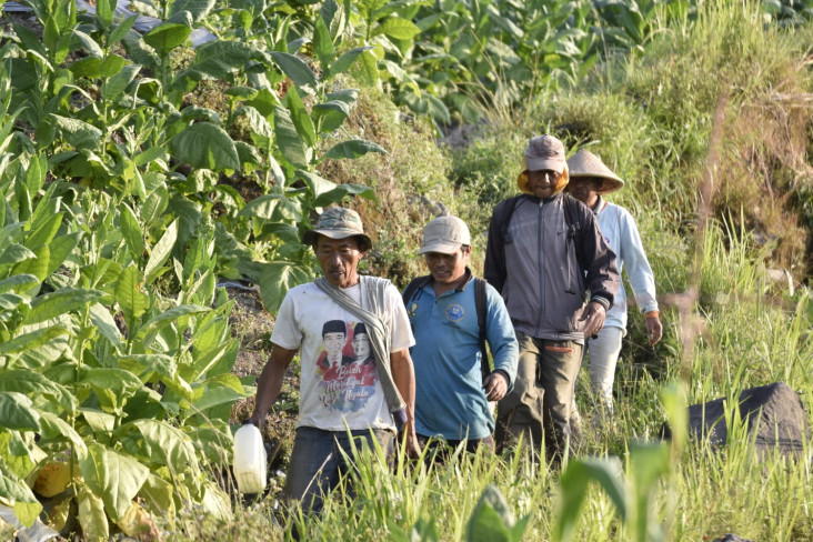 Cukai Rokok Naik, Petani...