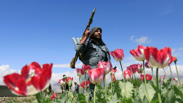 Jadi Rebutan Taliban,...