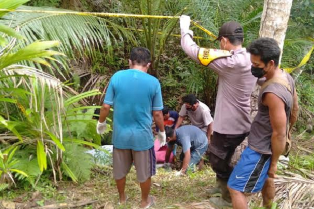 Pamit ke Kebun, Seorang...