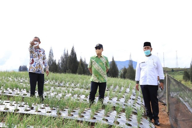 Kemnaker Bakal Kembangkan...