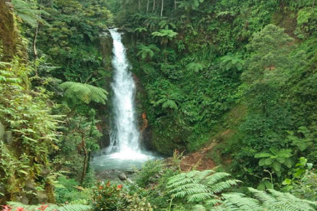 Intip Pesona Air Terjun...